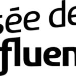 Musée des confluences